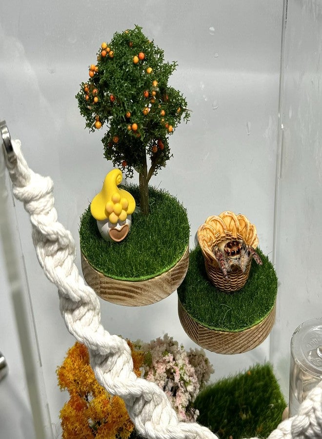 Julang Jumping Spider Enclosure Accessories - Natural Wood Handmade Mini Forest Platforms with Magnetic Mounting for Climbing, Resting and Exploration - Image 1